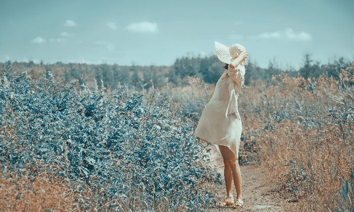 �f�G�c���̐l�������u�C�C���v