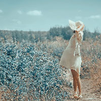 �f�G�c���̐l�������u�C�C���v