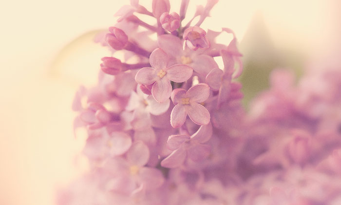 ���ӎ��ɕ����Ă���♡���Ȃ��̃��e�I�[��