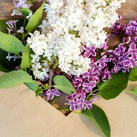 �S�z���̂��Ȃ���♡���C�ɂȂ郁�b�Z�[�W