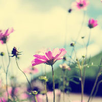 ��������?�����ւ̂��ƈ��