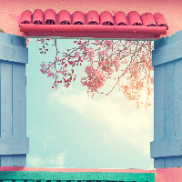 �t������♡�킽���炵�����̂͂��܂�
