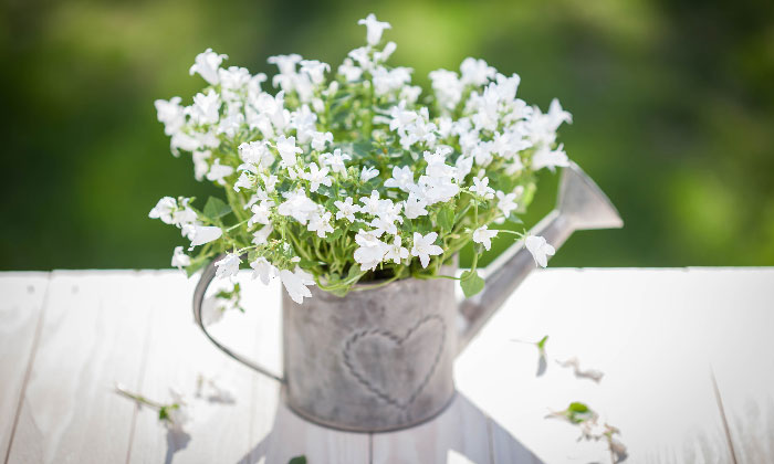 ���͂悤♡���̈ꌾ�ō�������