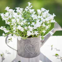 ���͂悤♡���̈ꌾ�ō�������