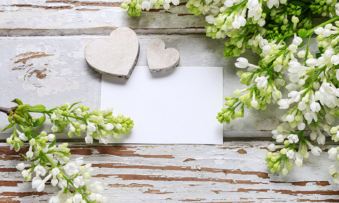 �ԓx�H���t�H�ނɓ͂����̃��b�Z�[�W