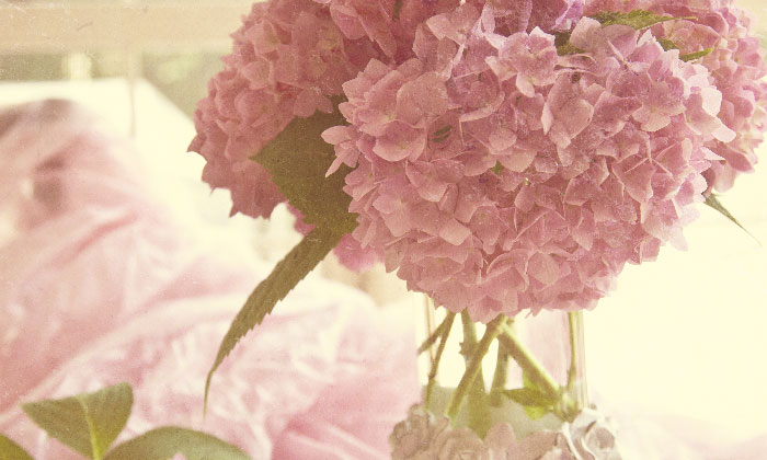 �ނɁu�I���i♡�v�Ƃ��Č��Ă��炤���@