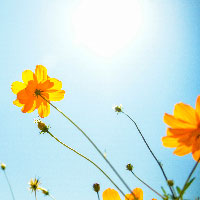 �S�z��������c�ނɒ��ڑ��k���Ă������H