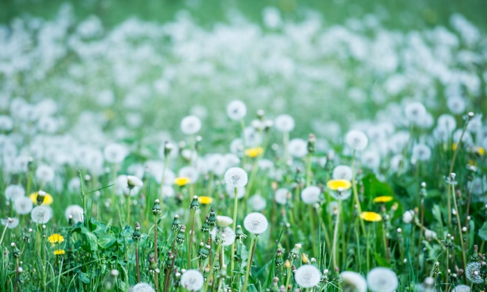 ���Ȃ��ƕs���Ƃ̕t��������