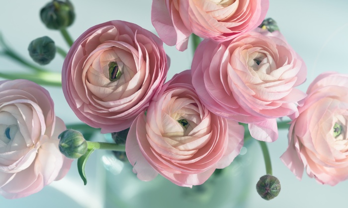 �����爤��������