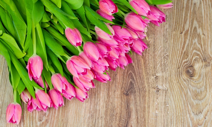 �����q�̑���