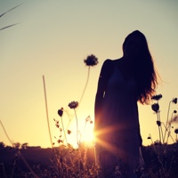 �����Ȃ��֌W�c���̂܂ܑ����Ă������H