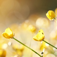 ���̓������