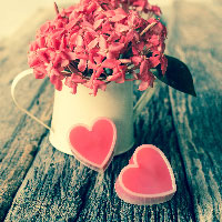 ����������Ȃ��̐l�̈���\��