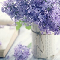 �C�����ɗ]�T���Ȃ��Ƃ��ǂ������炢���́H