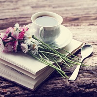 �����^���������Ⴄ�I�H���ӎ��̂�������